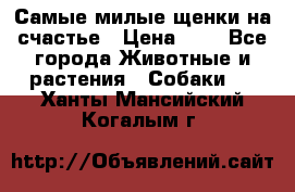 Самые милые щенки на счастье › Цена ­ 1 - Все города Животные и растения » Собаки   . Ханты-Мансийский,Когалым г.